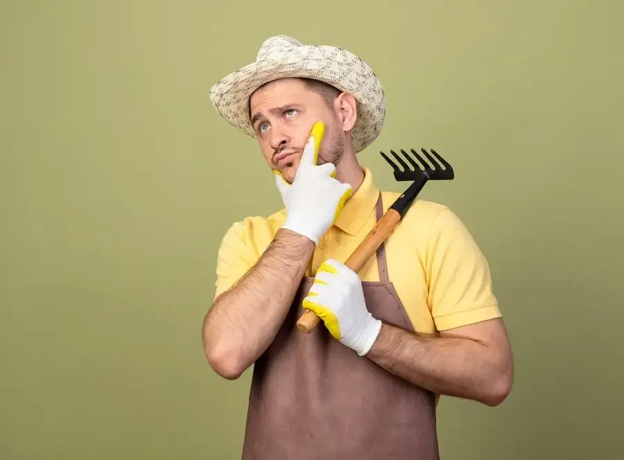 Ką sodinti rugsėjį