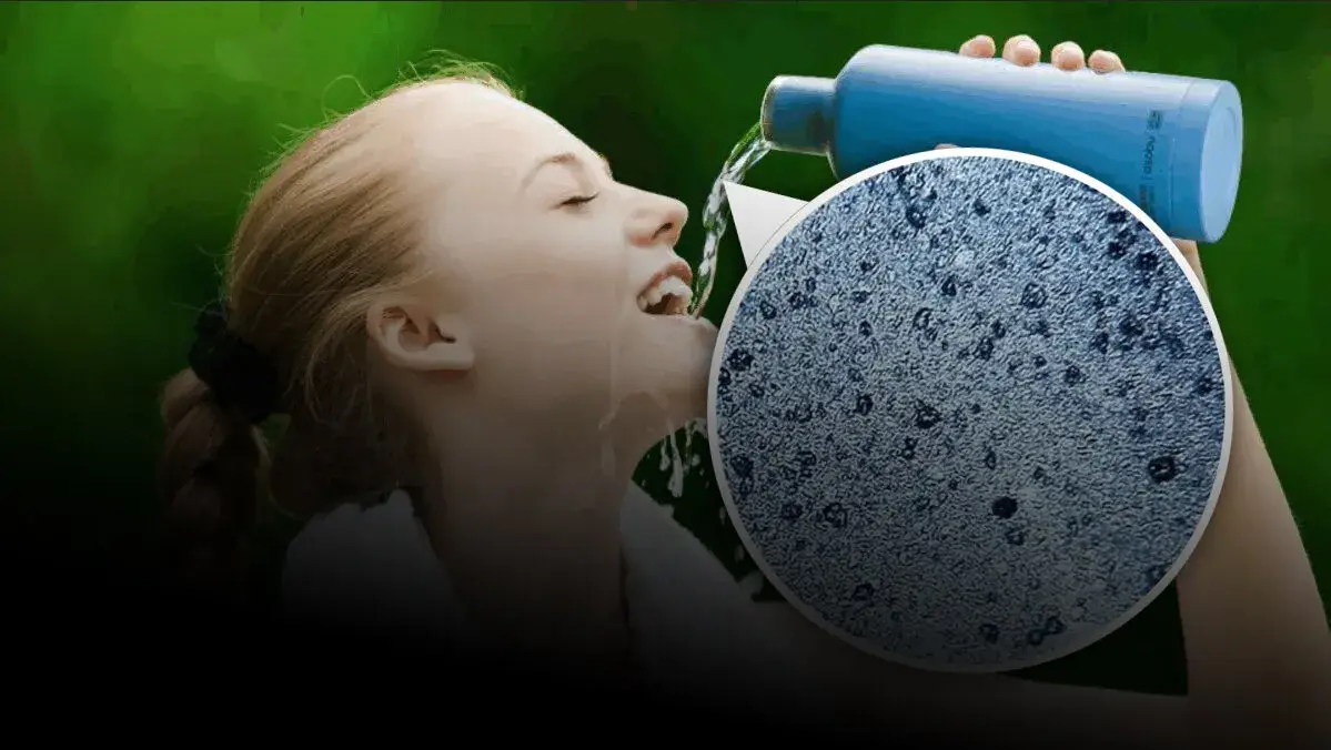 Mikroplastikas mūsų organizmuose