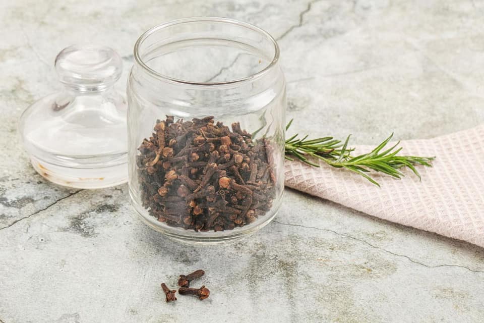 Gvazdikėliai ir vanduo