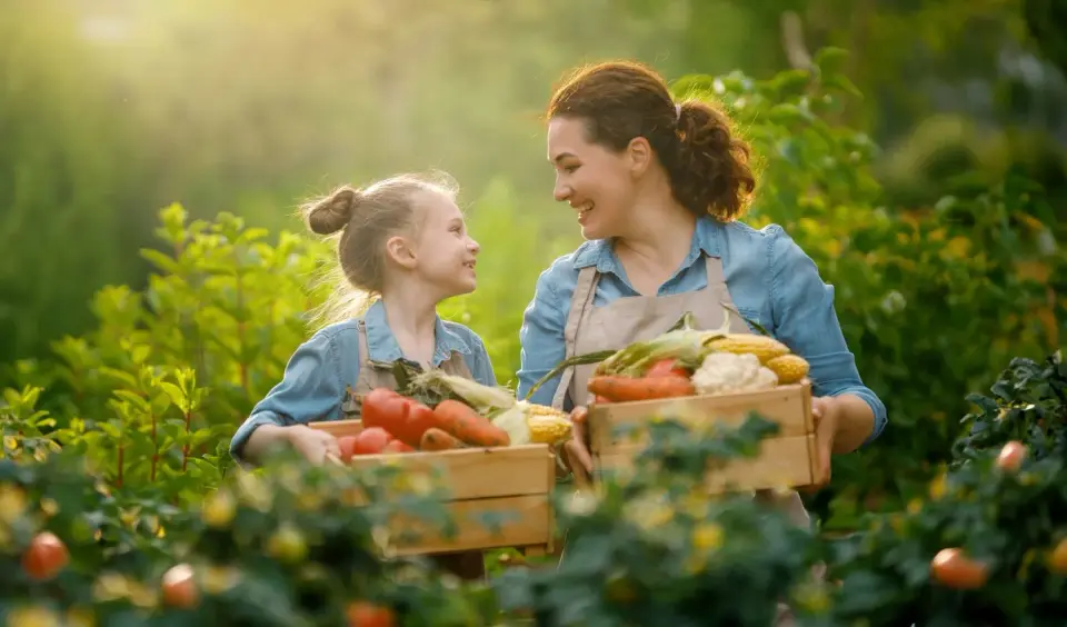 Daržovės iš jūsų sodo