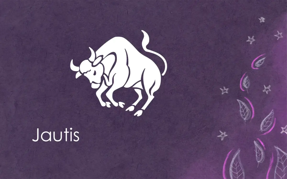 Jautis
