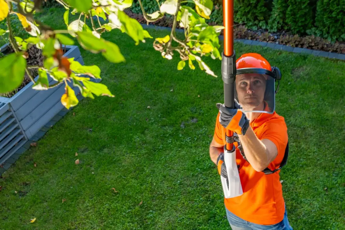 Kokias šakas galima genėti