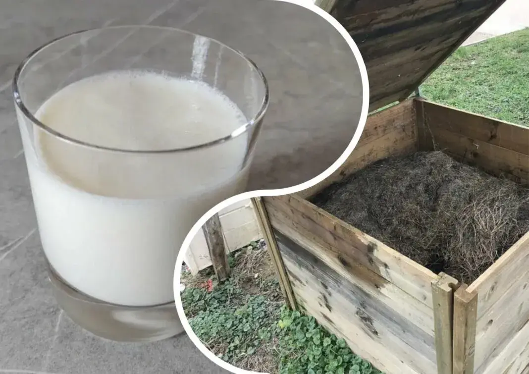 Kompostą ruošiu pagal specialų „receptą“