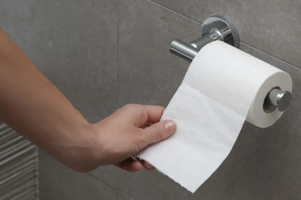 Tualetinis popierius prieš bidė