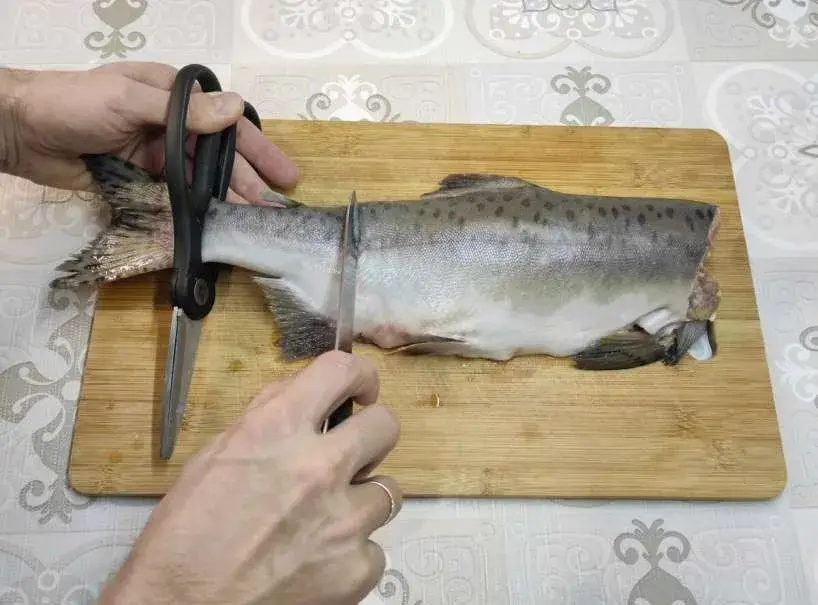 Žirklės su dantukais žuvies laikymui