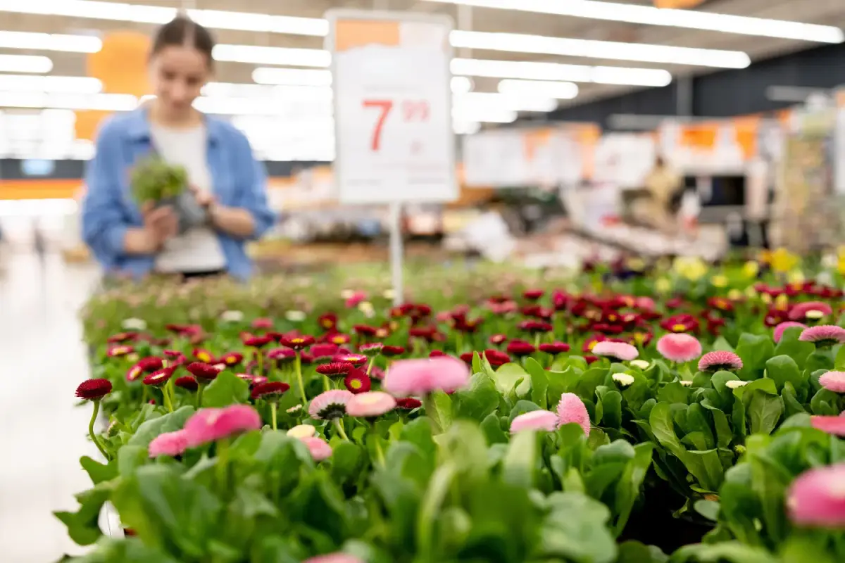 Gėlės prekybos centre