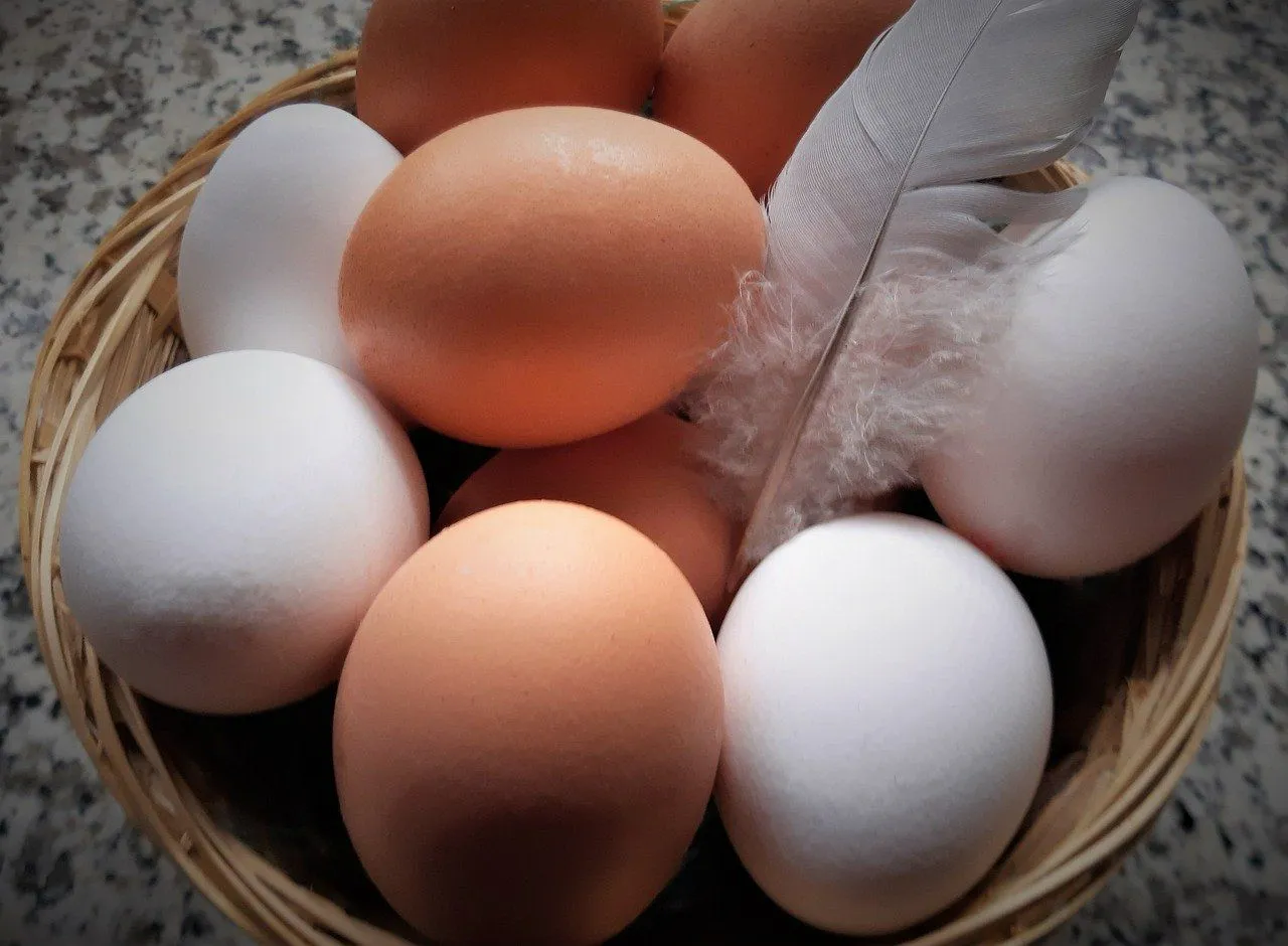 Kuo skiriasi rudi ir balti kiaušiniai - atsakymas
