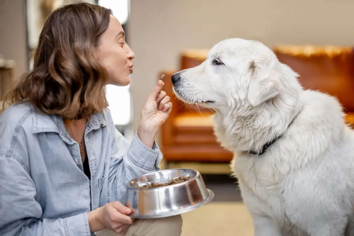 kaip išsirinkti šuns poreikius atitinkantį maistą