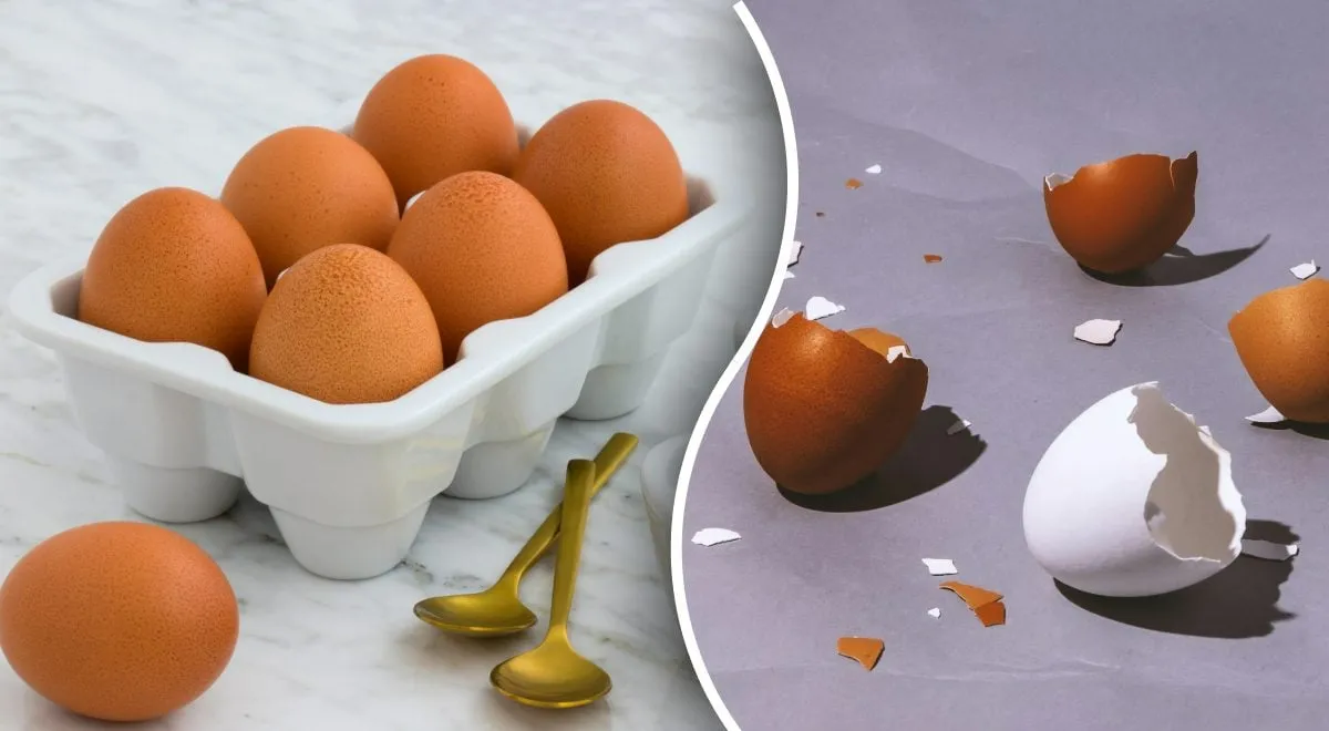 Kaip virti kiaušinius, kad juos būtų lengva nulupti