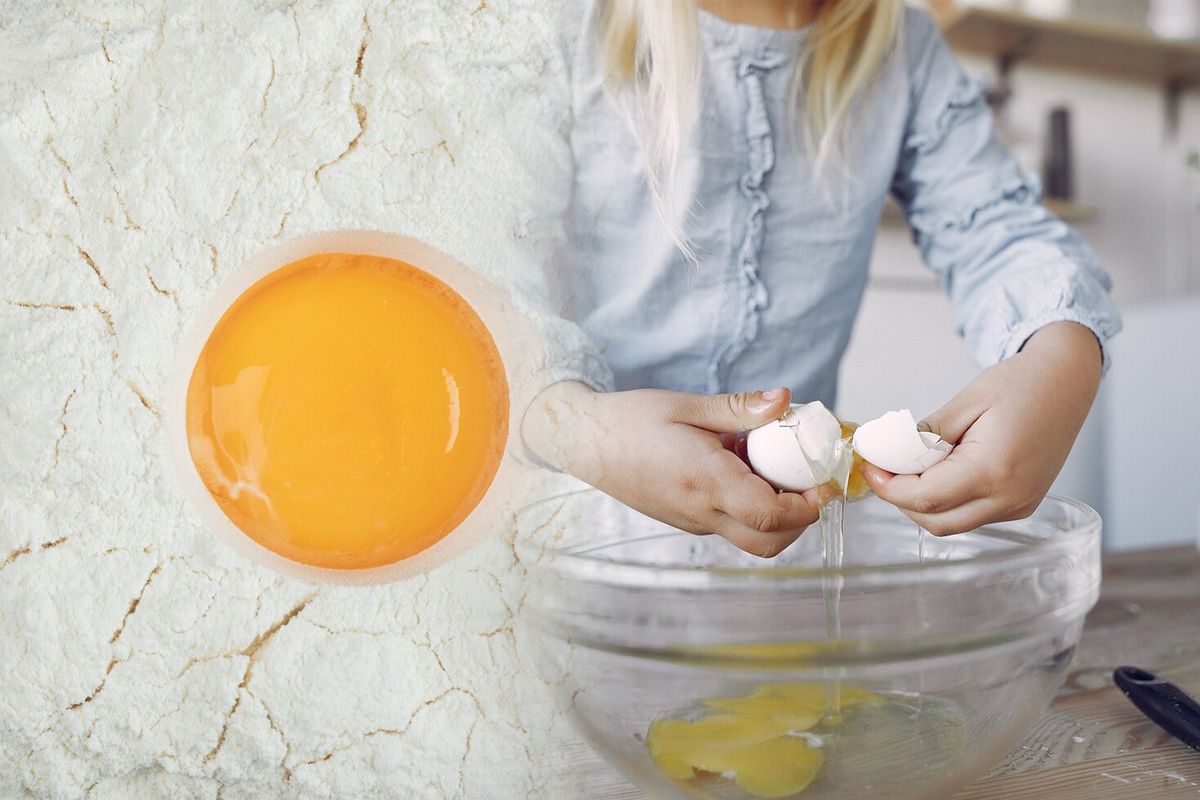 Kiaušinio trynys ir baltymas