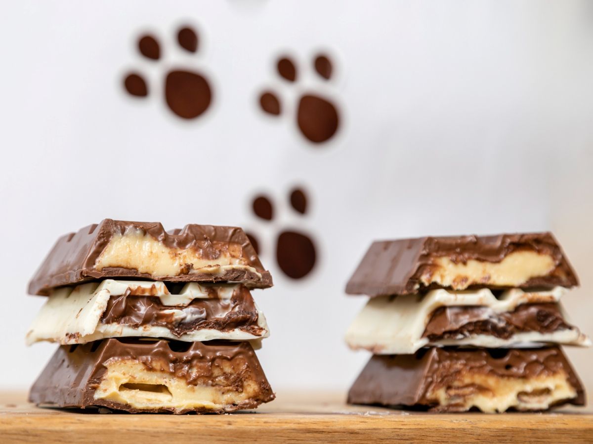 Šokoladas ir verslas