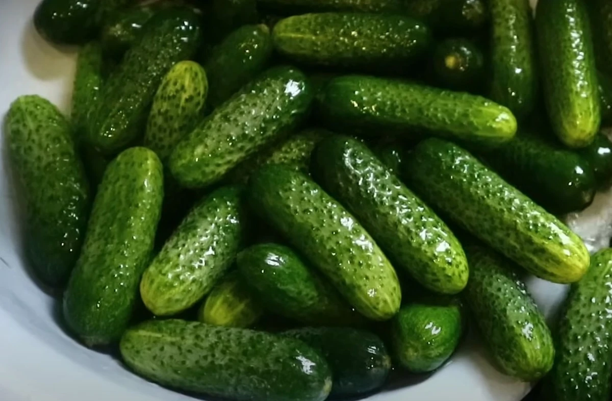 Skanūs agurkai marinate