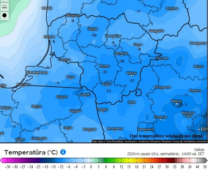 Prognozė sausio pabaigai