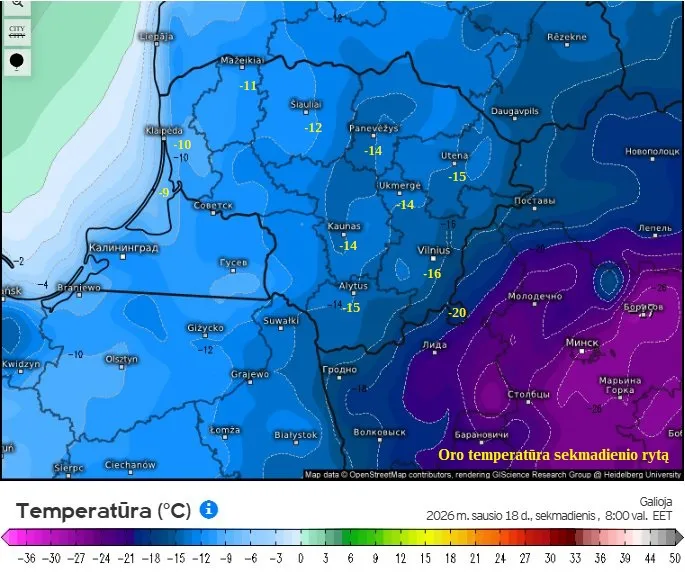 Prognozė sausio pabaigai