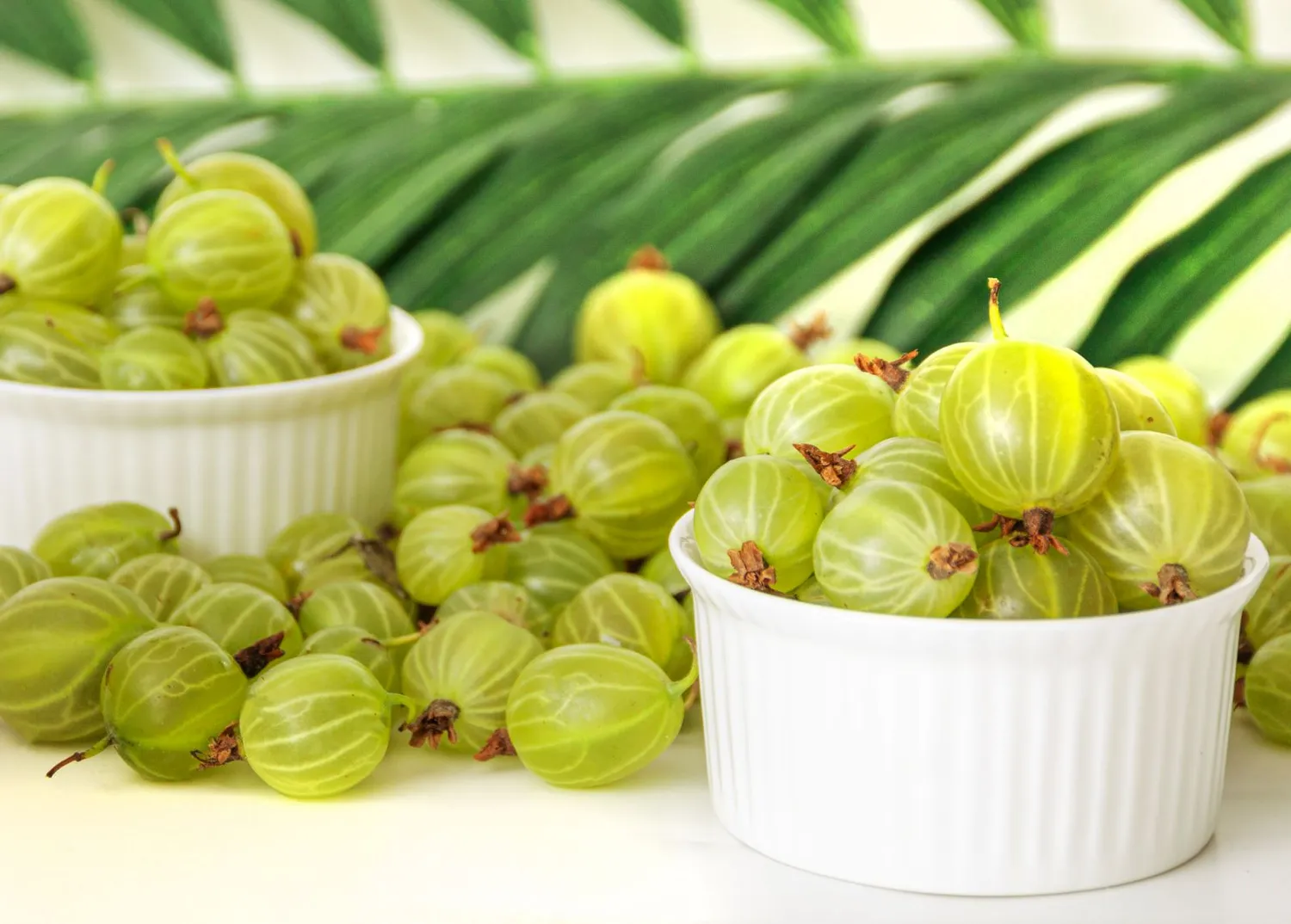 Agrastai padės jums