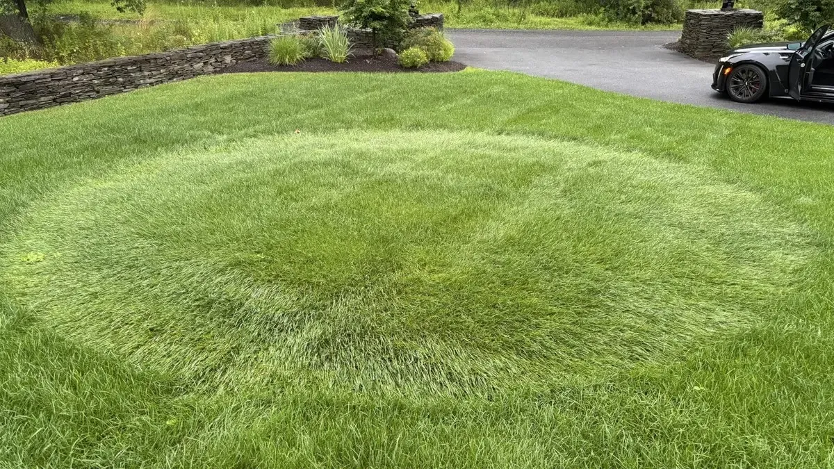 Apskritimai ant žolės