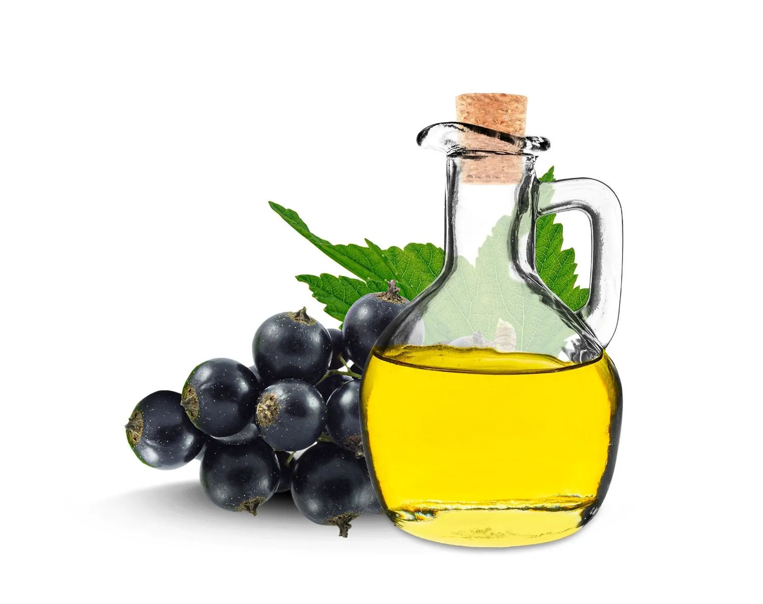 Juodųjų serbentų sėklų aliejus