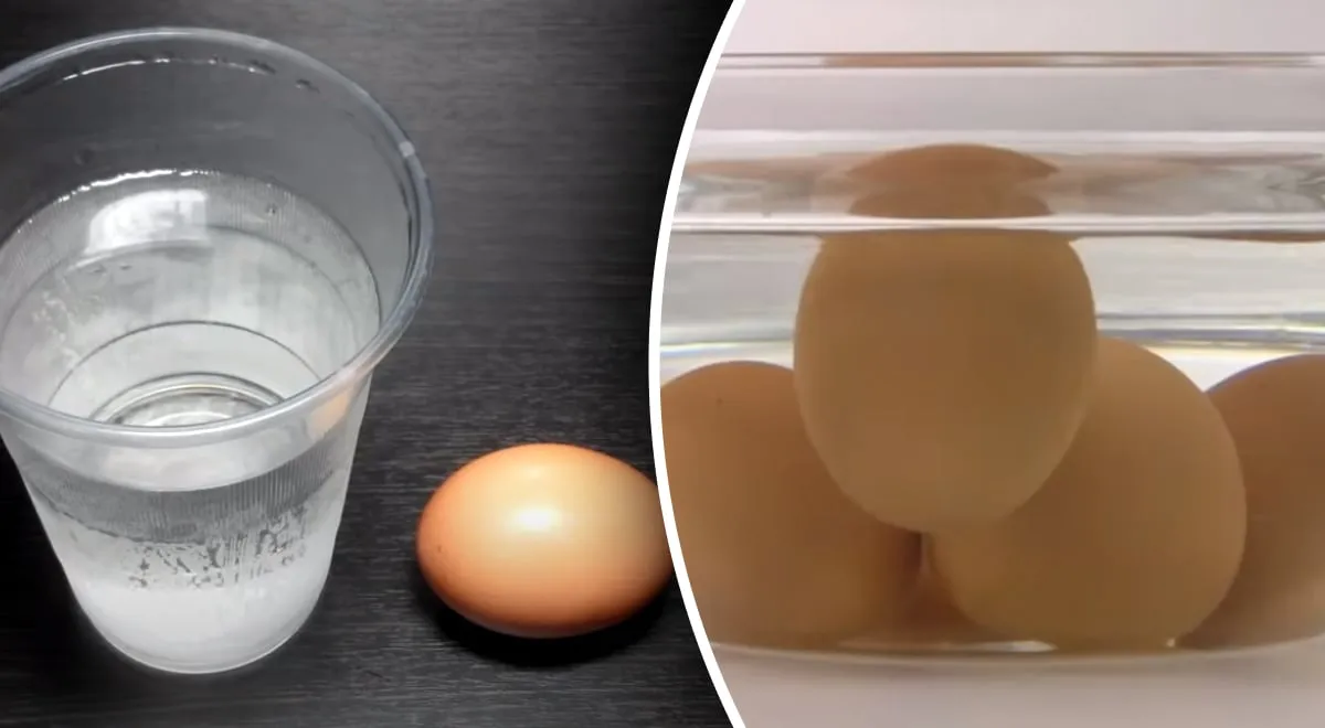 Kiaušinių patikrinimas