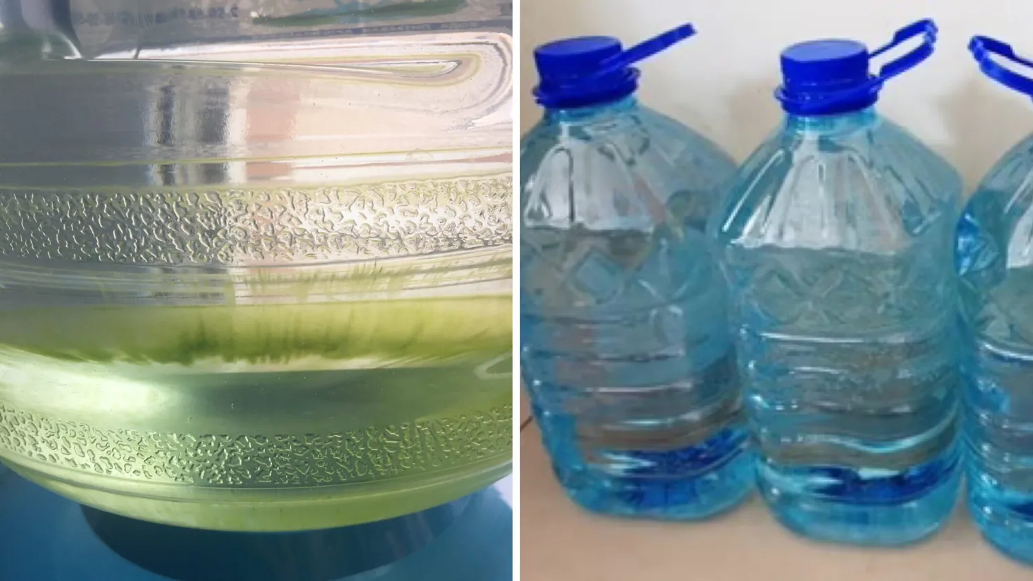 Kodėl žaliuoja vanduo