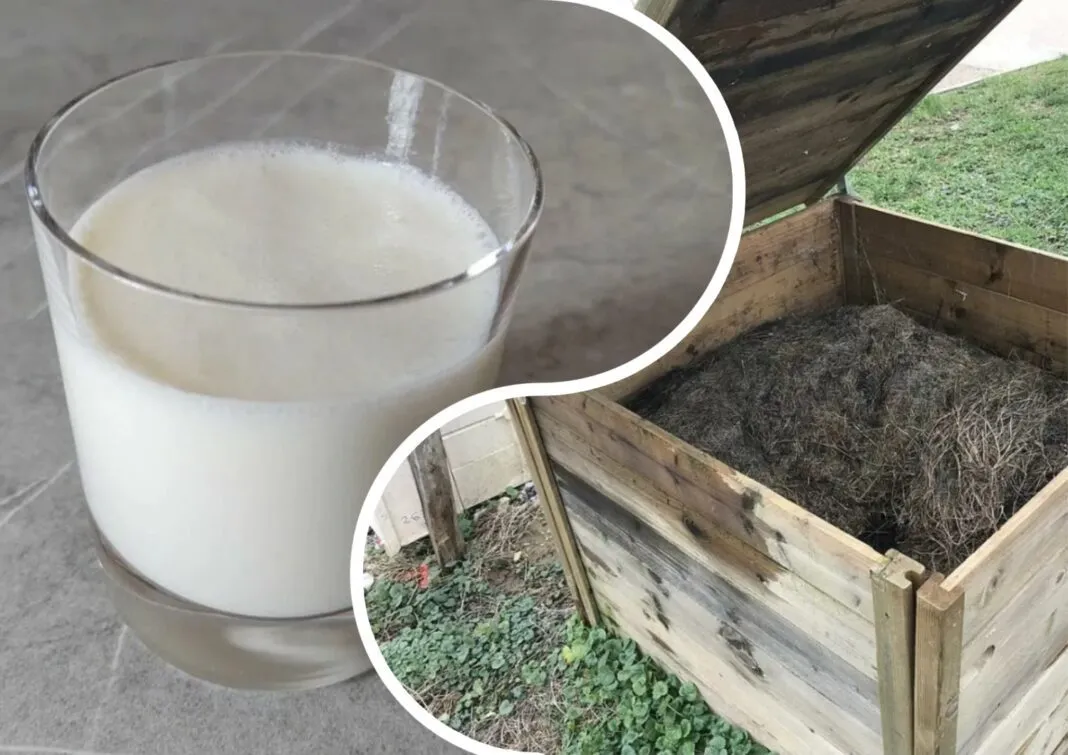 Kompostą ruošiu pagal specialų „receptą“