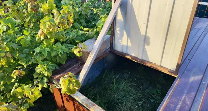 Komposto taisyklės