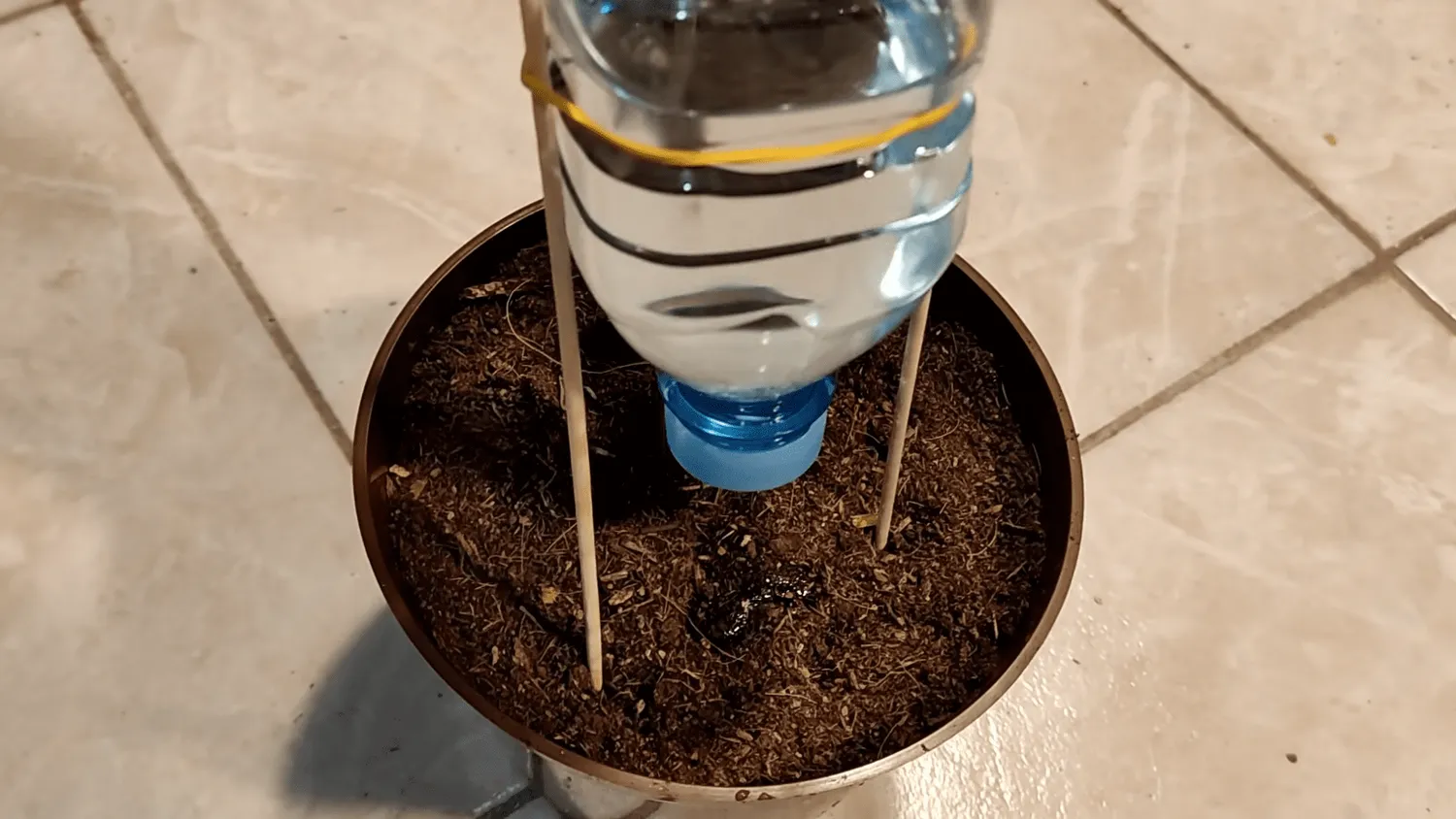 Lašelinis drėkintuvas augalams