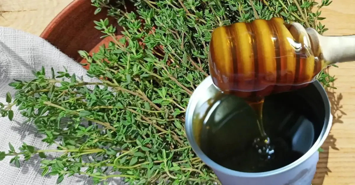 Medus ir čiobreliai