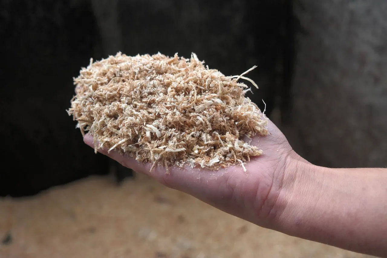 Medžio pjuvenos mulčiui