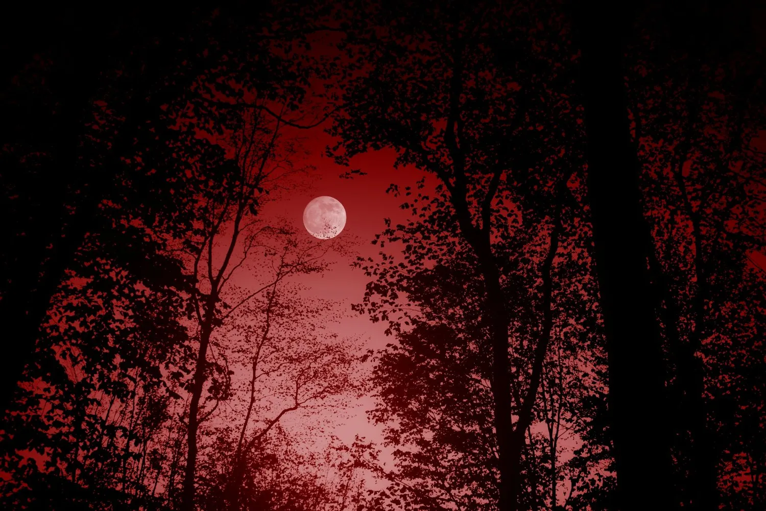 Mėnulis pavojingai priartės prie Žemės