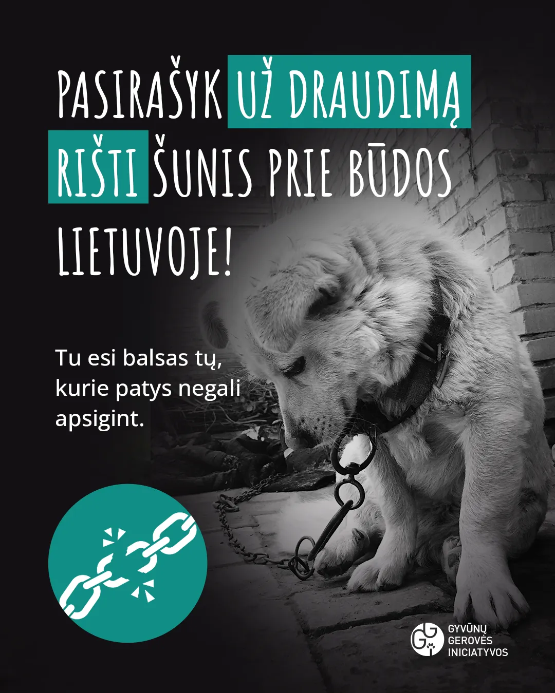 Pasakyk šunų rišimui - NE!