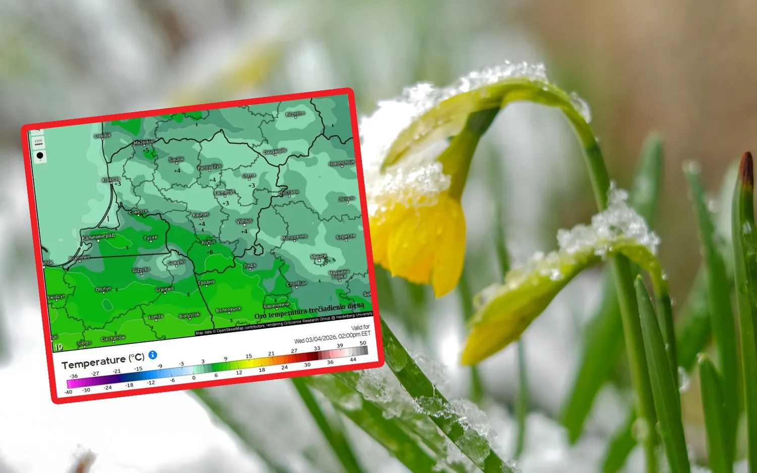 Pavasaris jau įsibėgėja