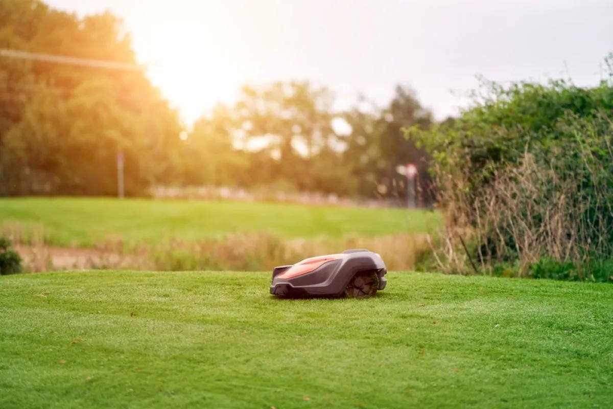 Robotas žoliapjovė