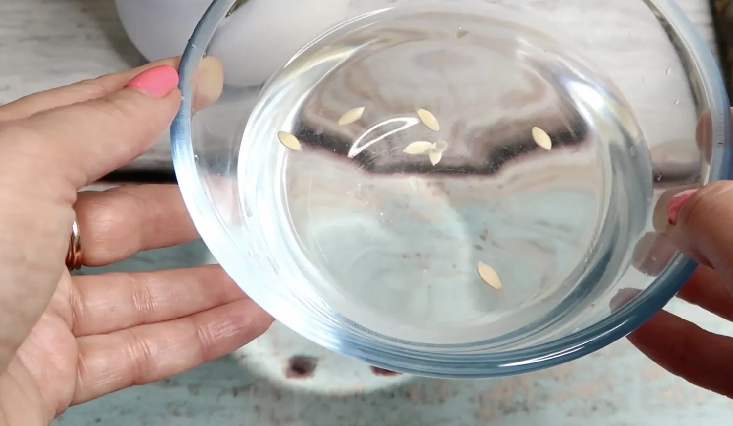 Sėklos sūriame vandenyje