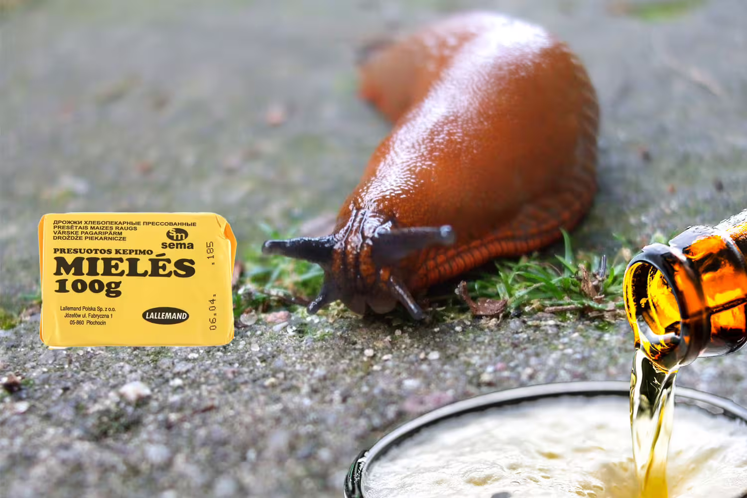 Šliužai to nekenčia