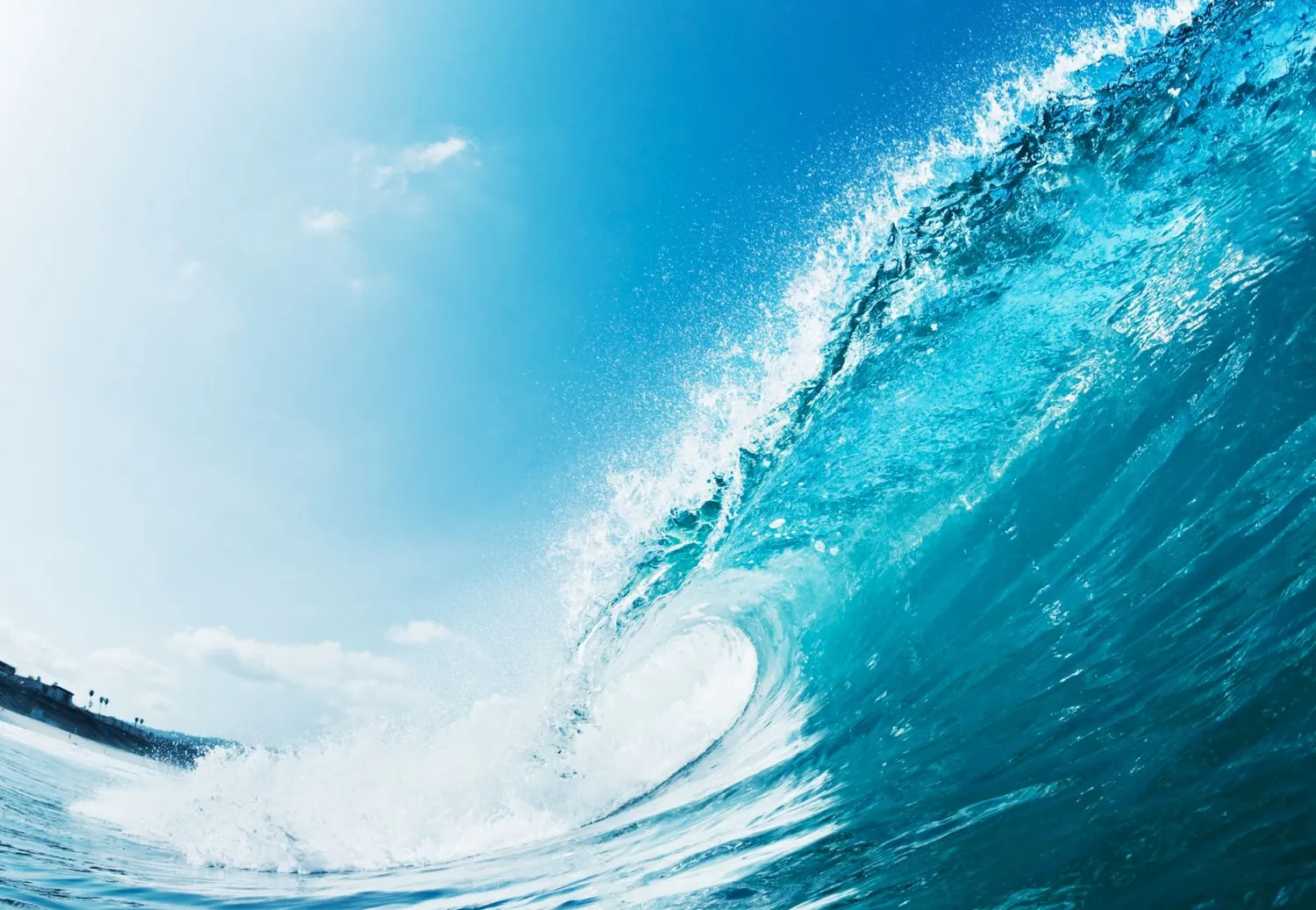 Sulauksite ypatingo palaikymo