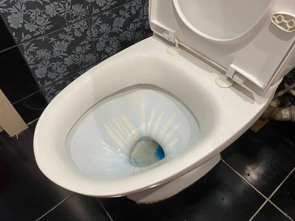 Švarus tualetas per kelias minutes 2