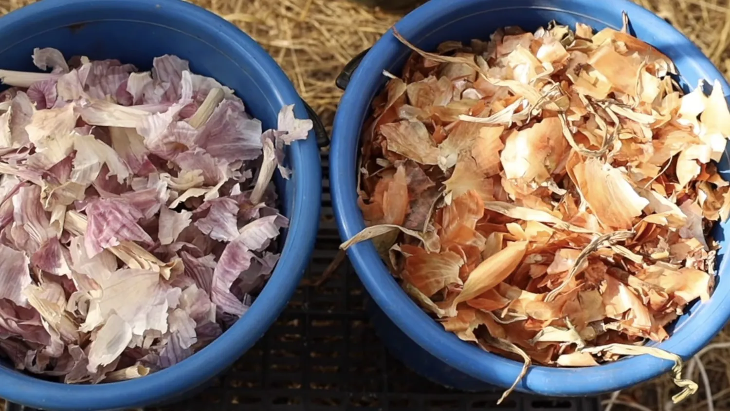 Svogūnų lukštų panaudojimas