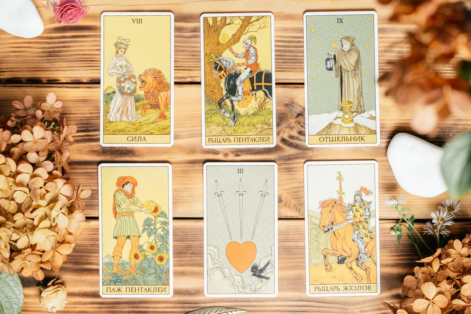 Taro kortos / JeannieR / Shutterstock.com