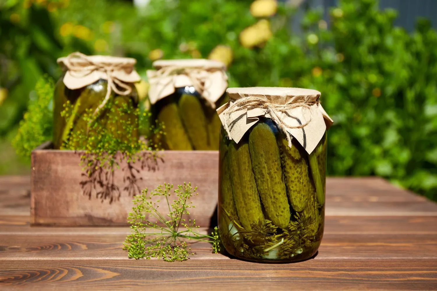 Traškūs marinuoti agurkai