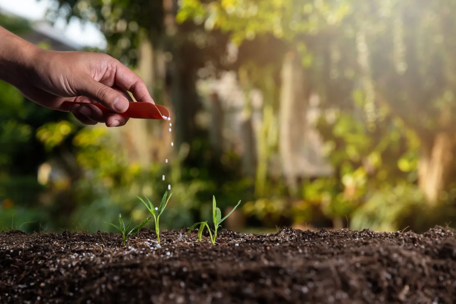 Trąšų naudojimas sode