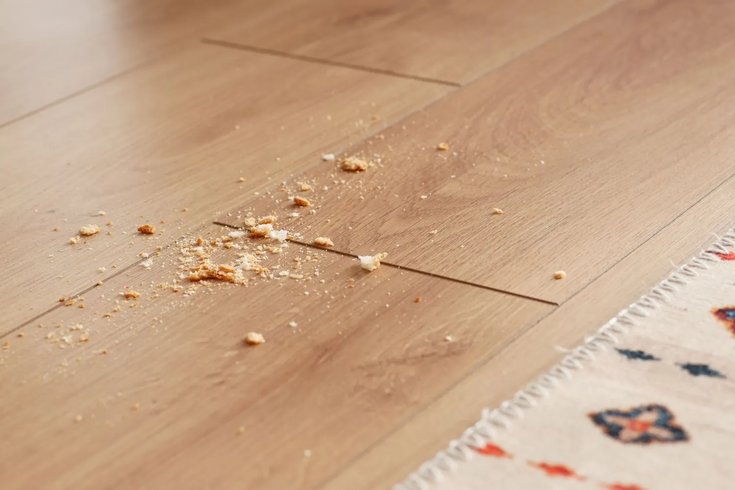 Trupiniai ant grindų