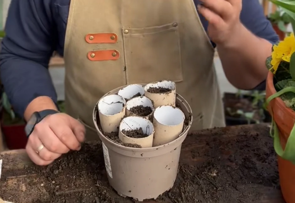 Tušti tualetinio popieriaus ritinėliai