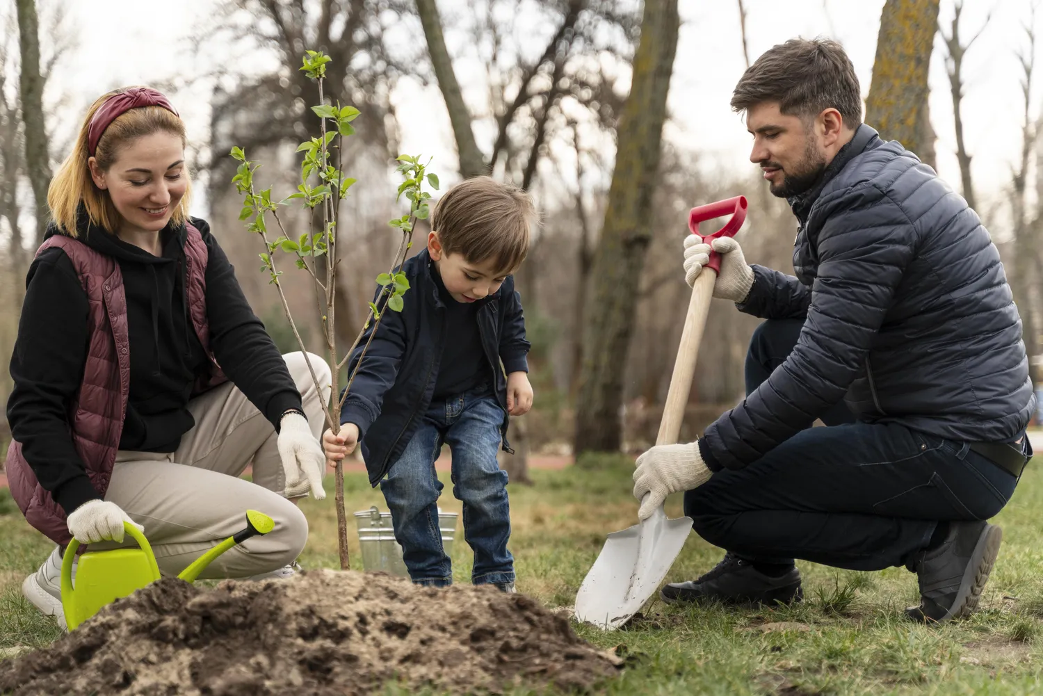 Sodinant medžius, būtina tinkamai paruošti dirvą