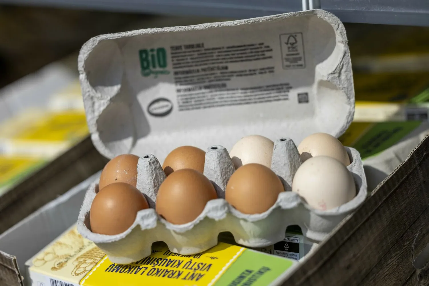 Original 525047 velykinisasortimentaslidlparduotuvs1