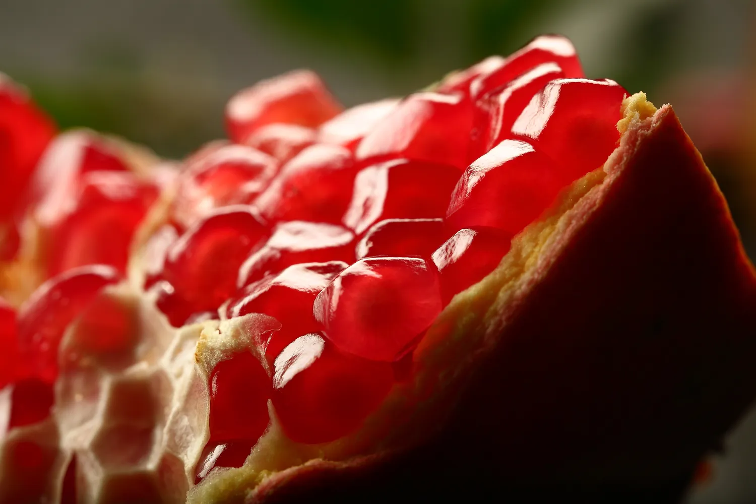 Shutterstock 1133909336