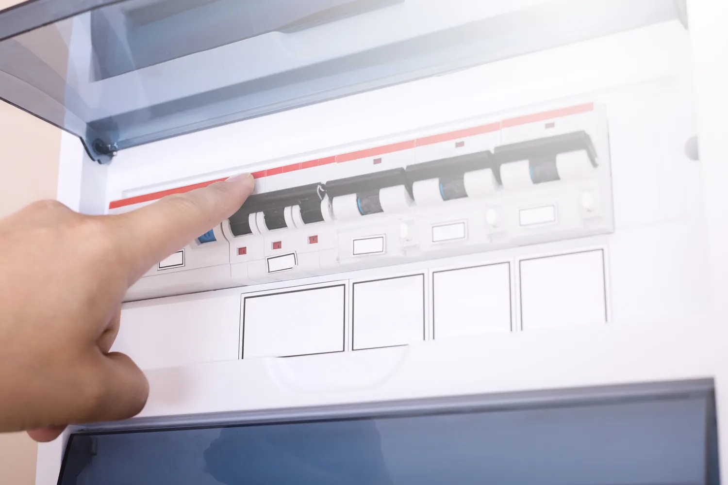 Shutterstock 1150747589