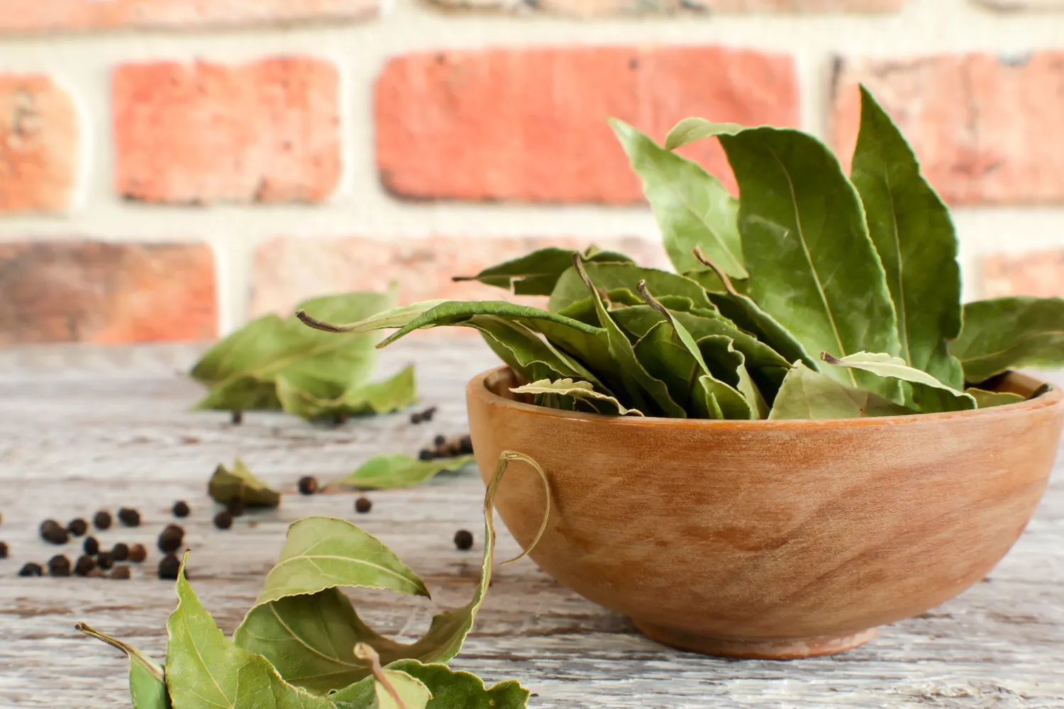 Lauro lapai labai naudingi kambarinių augalų priežiūroje
