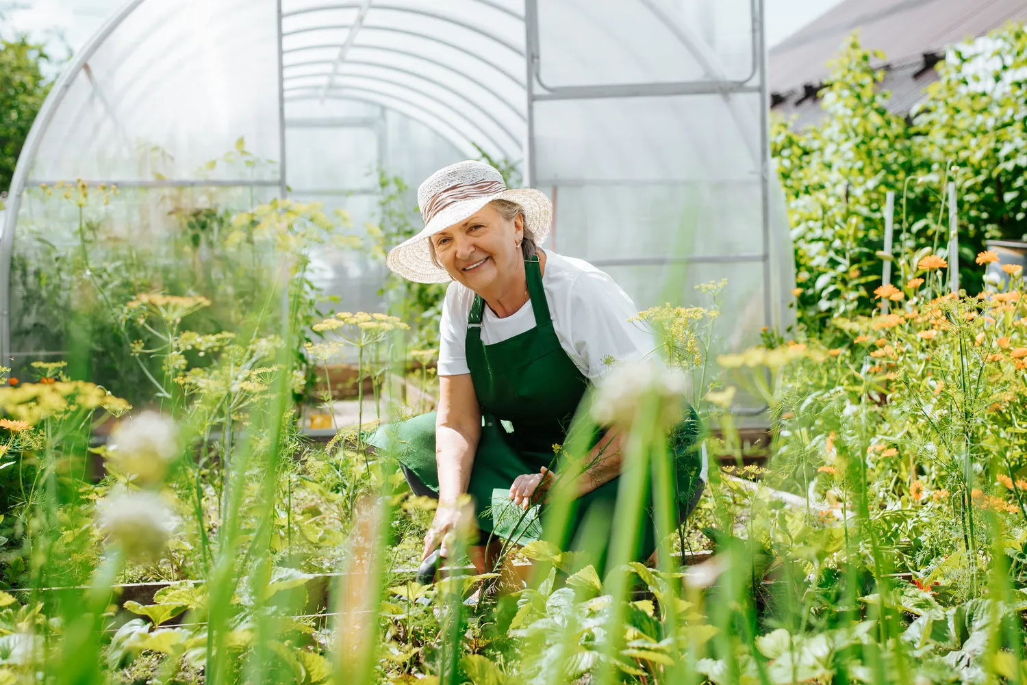 Shutterstock 2183127257