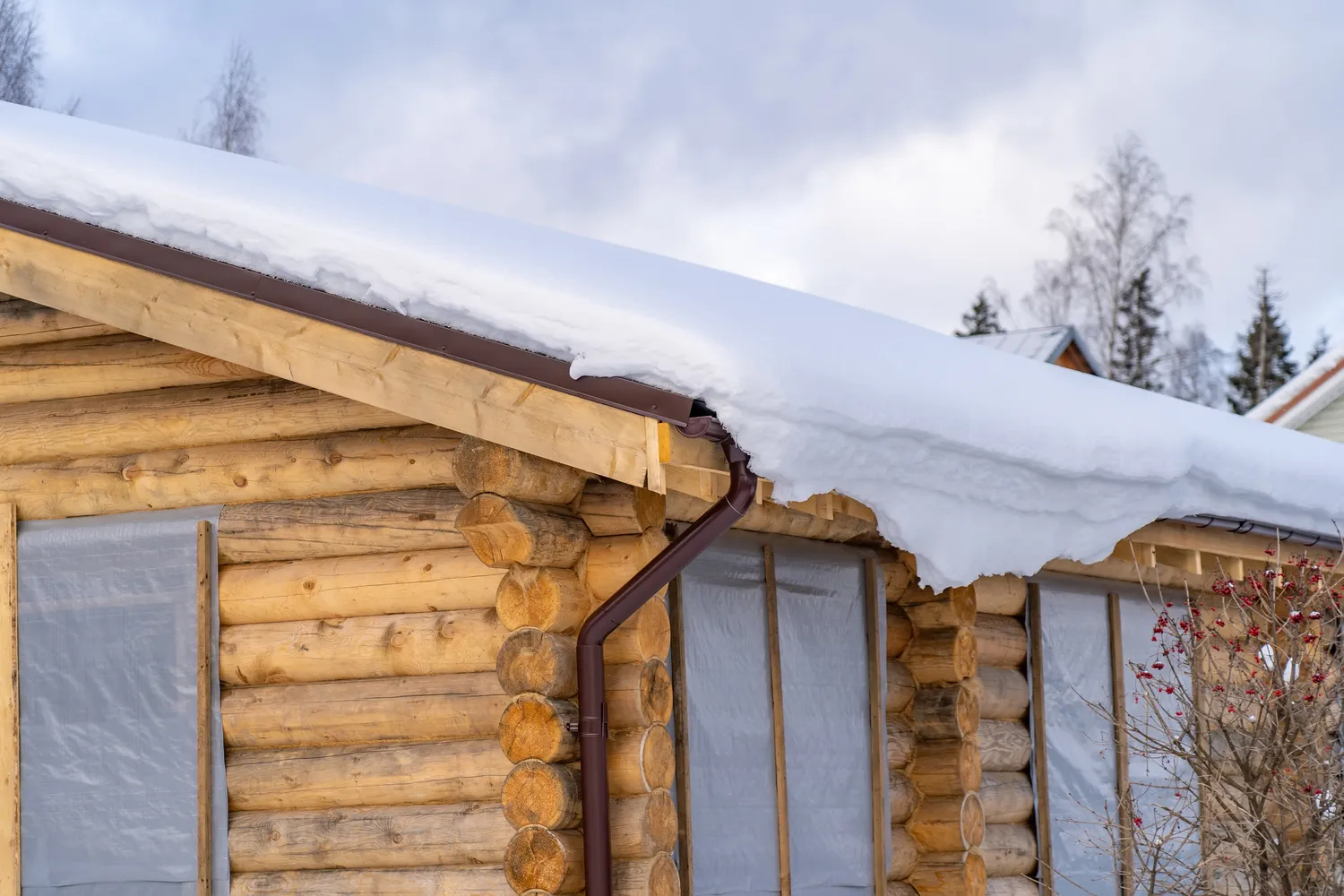 Po sniego - nauja šalčių banga