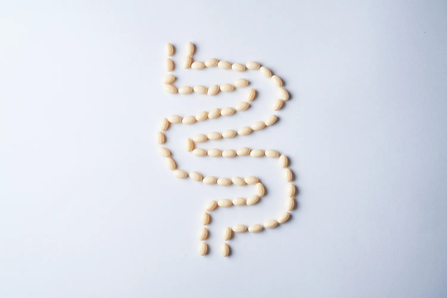 Probiotikai žarnynui